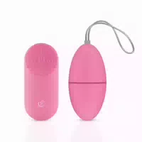 Easytoys Vibro Ei Vibrator mit Fernbedienung Pink
