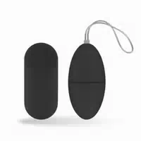 Easytoys Vibro Ei Vibrator Mit Fernbedienung Schwarz 1 St
