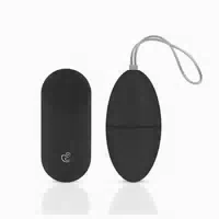 Easytoys Vibro Ei Vibrator mit Fernbedienung Schwarz 1 st