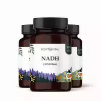 Echt Vital Liposomales Nadh