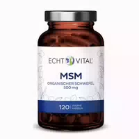 Echt Vital Msm 120 St