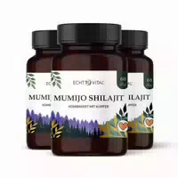 Echt Vital Mumijo Shilajit