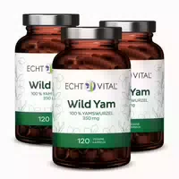 Echt Vital Wild Yam