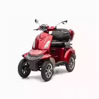 E Seniorenmobil Maxxi 4 0 Blei Akku 1000w 25 km H Rot 1 st
