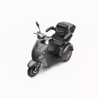 Seniorenmobil P1000, Lithium Akku, 25 Km H, 1000 Watt, Grau 1 st