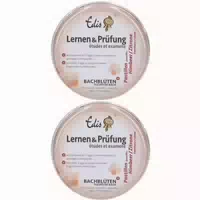 Edis Lernen & Prüfung