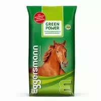 Eggersmann Green Power
