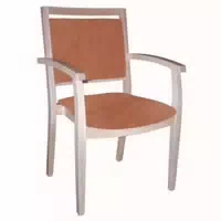 Einrichtungsdesign24 Seniorenstuhl Mit Armlehnen Georg