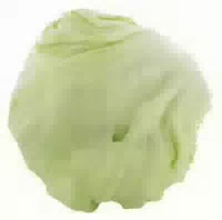 Eisbergsalat