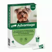 Advantage Spot On 40 gegen Flöhe für Sehr Kleine Hunde Bis 4 kg Körpergewicht