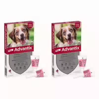 Advantix Spot On Hund 10 25 kg 4 X 2,5 ml Lösung