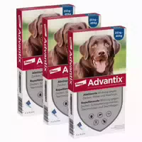 Advantix Spot On Hunde 25 40 Kg 12x4,0 Ml