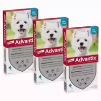 Advantix Spot On Hunde 4 10 Kg 3x4 St