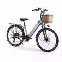 Elektrofahrrad Cysum X City, 250 W Motor, 48 V 10,4 Ah Akku