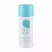 Elizabeth Arden Blue Grass Creme Deodorant Stick für Frauen