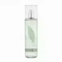 Elizabeth Arden Green Tea Duftspray 240 ml
