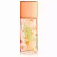 Elizabeth Arden Green Tea Nectarine Blossom Eau De Toilette Spray 100ml