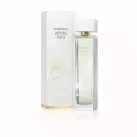 100 ml