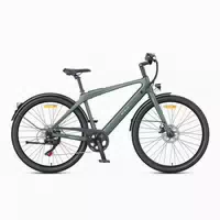 Engwe N1 Air Carbonfaser City E Bike 250w 36v 10ah 1 st