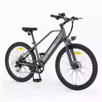 Hillmiles Miletrail 1 Elektrofahrrad 250w, 36v 13ah 1 st