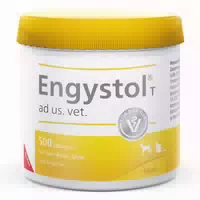 Engystol T Ad Us Vet Tabletten 500 st