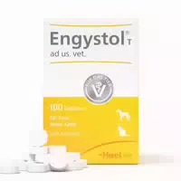Engystol T Ad Us Vet Tabletten 100 St