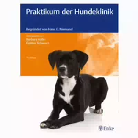 Praktikum Der Hundeklinik 1 St