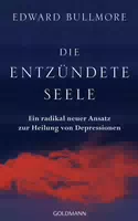 Die Entzündete Seele