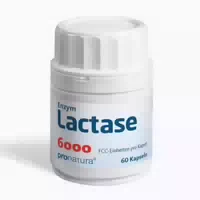 Enzym Lactase 6000 Fcc 60 Kapseln