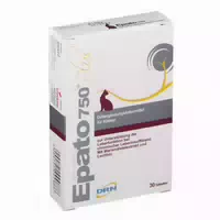 Epato 750 Plus