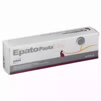 Epato Plus Paste