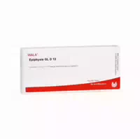 Epiphysis Gl D 12 Ampullen