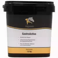 Equanis Gastroactive