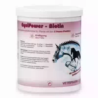 Equipower Biotin