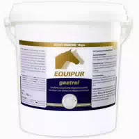 Equipur Gastral 1kg Magenschutz