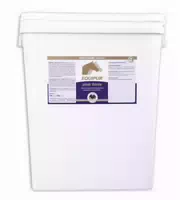 Equipur Zink Forte P