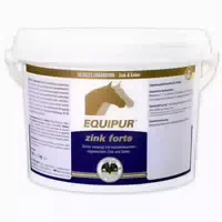 Equipur Zink Forte P