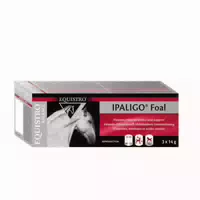 Equistro Ipaligo Foal