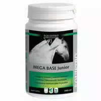 Equistro Mega Base Junior