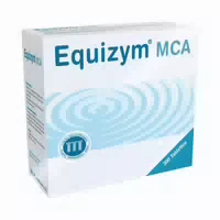 Equizym Mca Tabletten 300 st