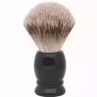Erbe, Dachspinsel Medium
