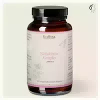 Nattokinase Komplex 2000 Fu 120 Dr Kapseln 120 St