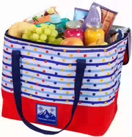 Kühltasche mit Punkten 1 Stück