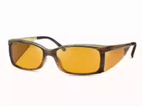 Eschenbach Filterbrille Ambelis 16632 85%