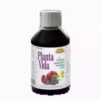 Planta Vida Saft 250 ml