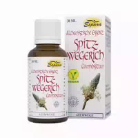 Spitzwegerich Compositum Alchemistische