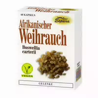 Eisen Köhler Kapseln 30 Stück