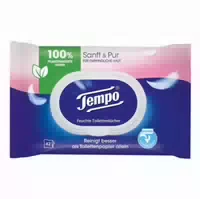 Tempo Sanft & Pur Feuchte Toilettentüche 42 St