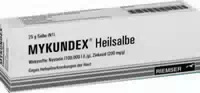 Mykundex Heilsalbe 100 g Salbe