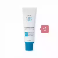 Etude Soon Jung 10 Panthensoside Cica Balm 50ml